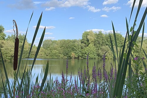 picture of lake in greenbelt