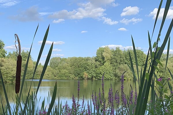 picture of lake in greenbelt